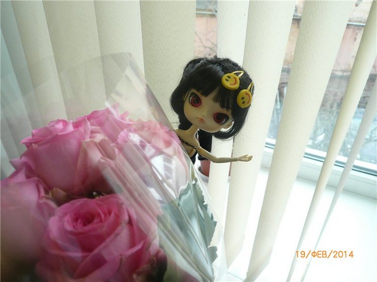 Люсенька - куколка Dal — Куклы Pullip (Пуллип) (фото 8)