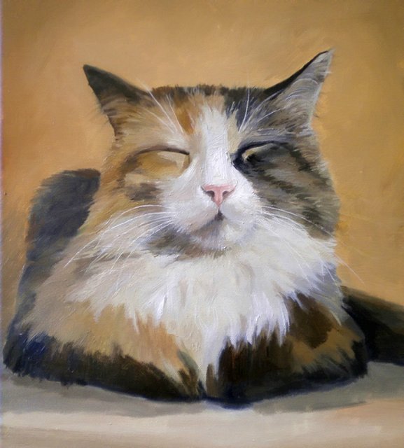 «Мяу» особого назначения или Весенняя кошкотерапия