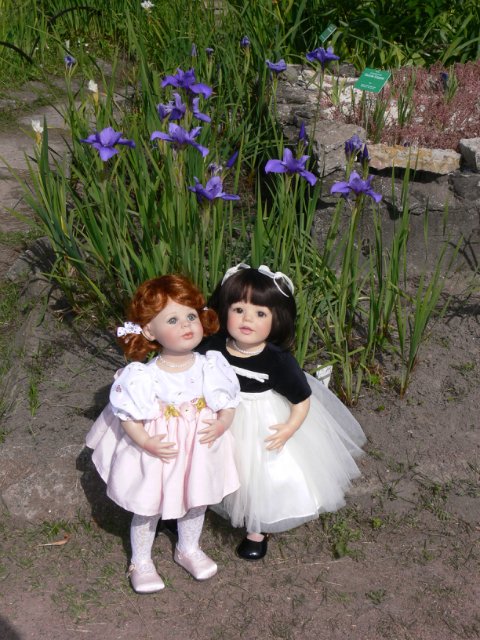 Продолжение прогулка в Ботаническом саду Санкт Петербурга. Часть 2. Иридарий | Бэйбики Продолжение прогулка в Ботаническом саду Санкт Петербурга. Часть 2. Иридарий