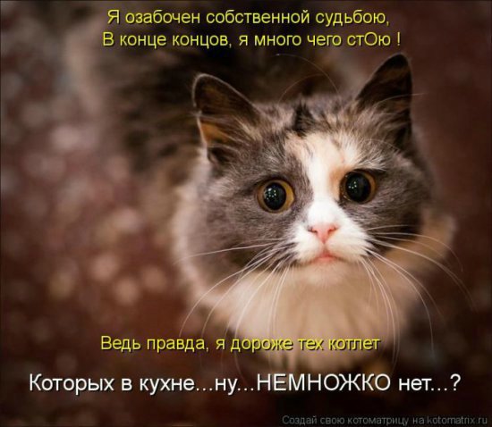 Море позитива) Для поднятия настроения (осторожно! много фото)))) | Бэйбики Море позитива) Для поднятия настроения (осторожно! много фото))))