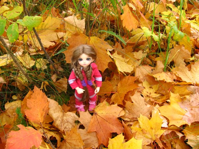 Осенняя прогулка Мини и Мики (фото 9)