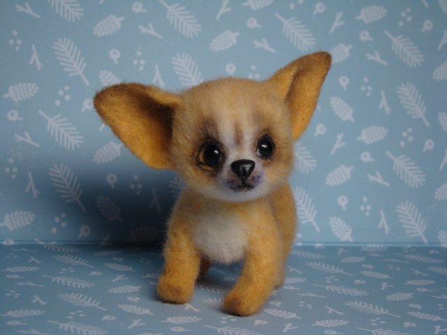 Чихуахуа. Авторская игрушка валянием Ольги Чернухо (фото 2)