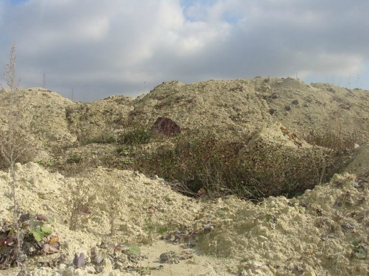 Белые горы Белогорья — Туризм и путешествия: фотоотчеты из поездок (фото 9)