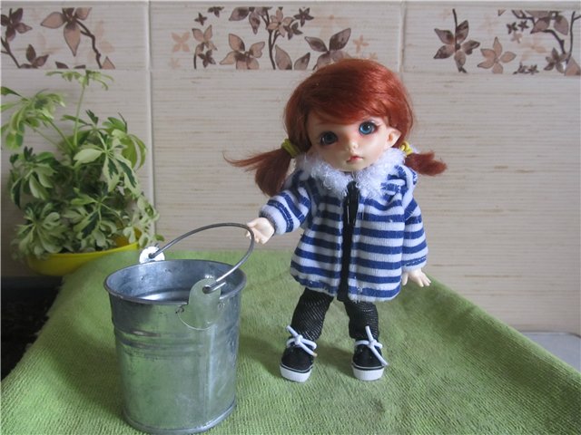 "Мастер-класс" по посадке огорода (фото 6)