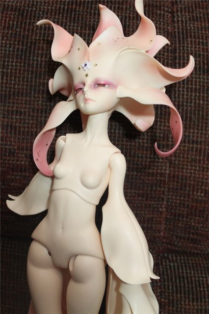 Первый Весенний Цветок! Anson, Dollzone