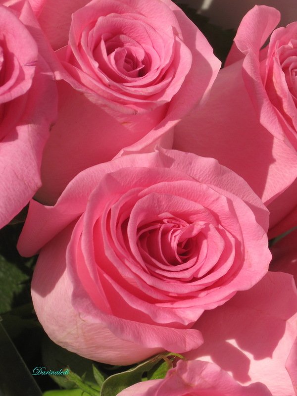 Яся - Кнопочка. Авторская игрушка