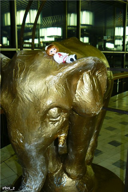 Вот так чудеса или как Ариэль в Большой Московский Цирк ходила. PukiFee Ante Ариэтти, PukiFee Bonnie Ариэль (фото 10)