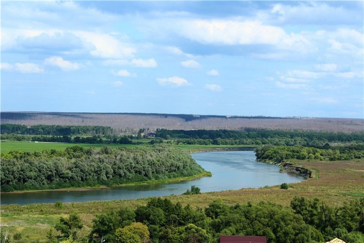 Первая прогулка Тилли в России. Tillie, Kaye Wiggs (фото 3)