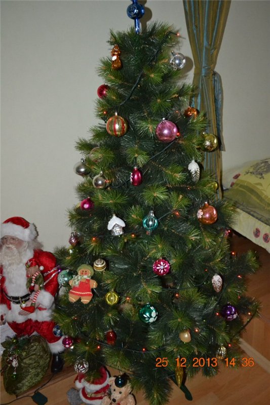 Ко встрече Нового Года готовы)