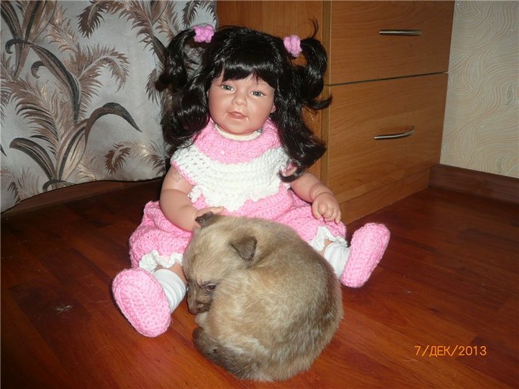 Куклы и собаки. Радость в нашем доме (фото 4)