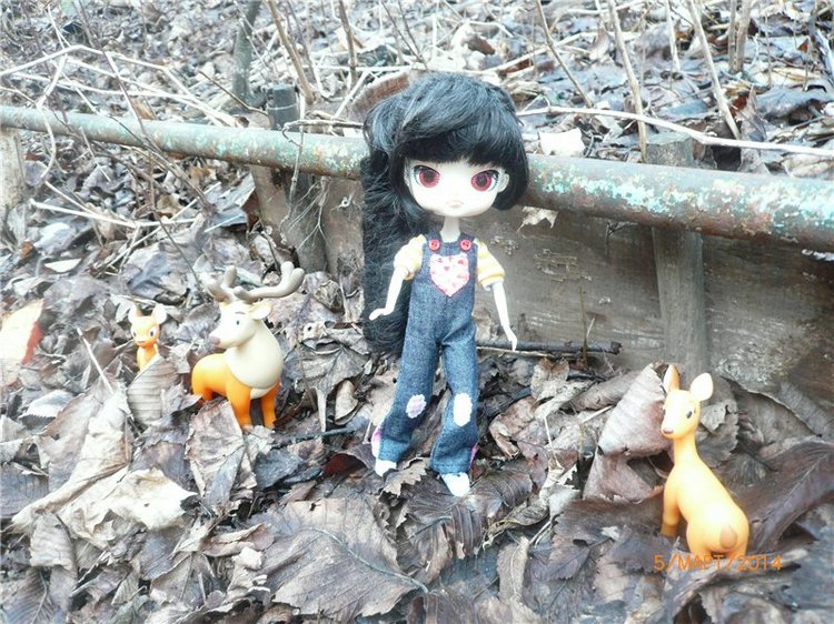 Люсенька - куколка Dal — Куклы Pullip (Пуллип)