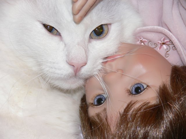 Интересно, кто кого больше любит