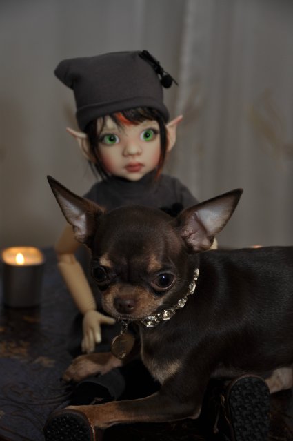 Мой маленький гномик Талиса и Фенечка от Кайе Виггз (фото 10)