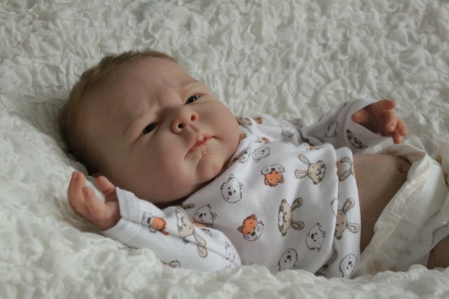 Реборн на руках. Кукла реборн сью сью. Реборн сью сью. Реборн на руках. California baby эта малышка.