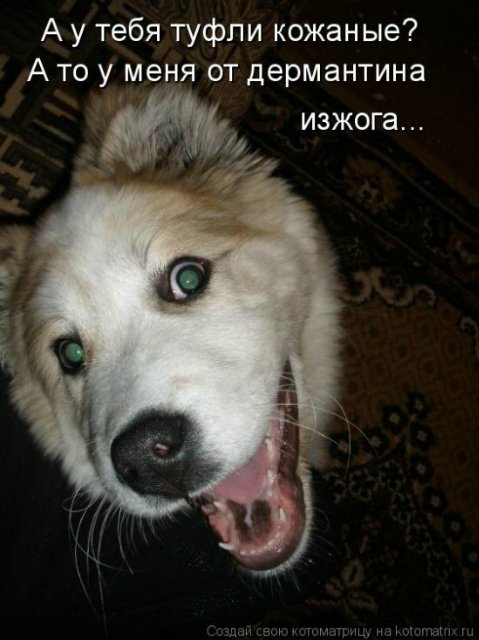 Понедельник - день тяжёлый | Бэйбики Понедельник - день тяжёлый