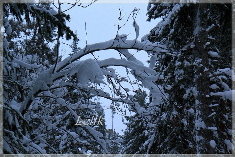 12 месяцев, или как Тамира за подснежниками ходила ) (фото 7)