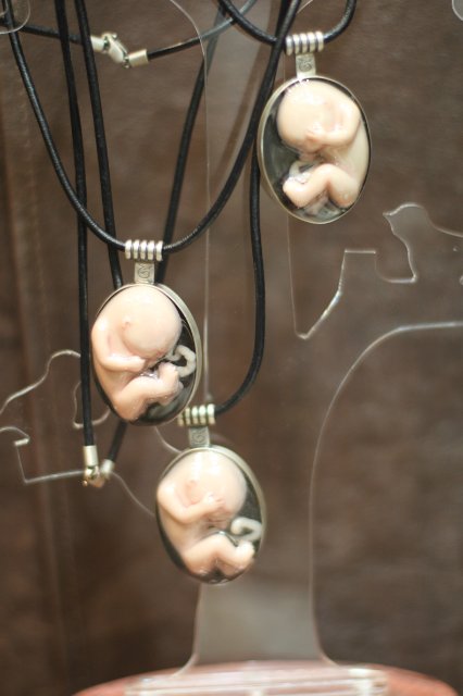 Фотоотчёт с выставки кукол MOSCOW FAIR 2015 - наши мастера кукол реборн | Бэйбики Фотоотчёт с выставки кукол MOSCOW FAIR 2015 - наши мастера кукол реборн