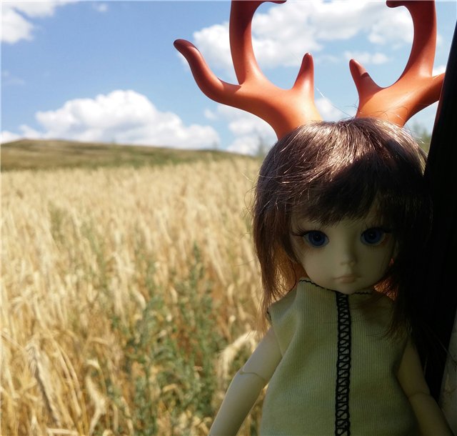 Однажды летним жарким днем.... Как Ева к конкурсу готовилась