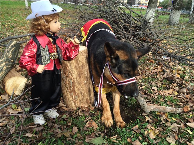 История любви, или К нам приехали цыгане (фото 10)
