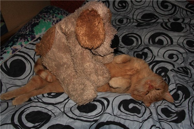 Во что играют наши дети — Болталка и разговоры обо всем: жизнь (фото 5)