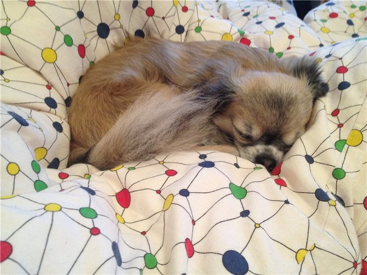 Учимся крепко спать — Болталка и разговоры обо всем: жизнь