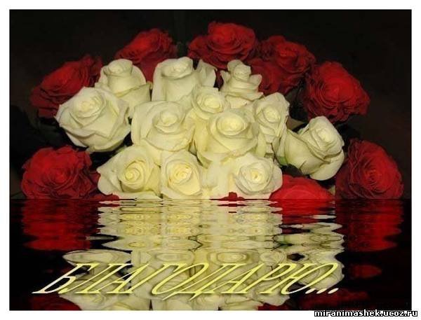 Алиса - куколка моего вдохновения! Часть 3