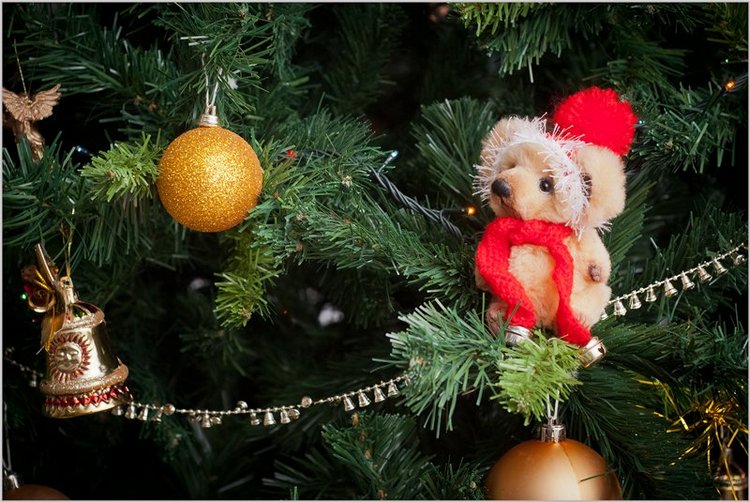 Игрушка своими руками - мишка Клаус (фото 2)