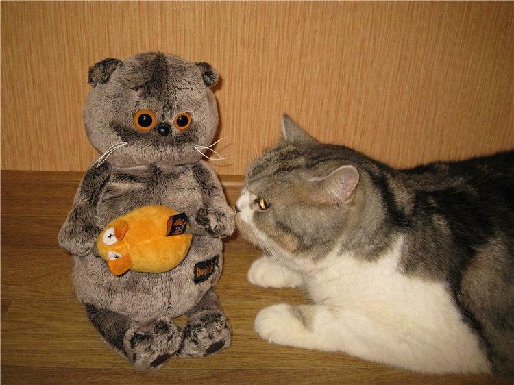 Кошки-мышки! Котик Басик — Кот Басик (фото 8)