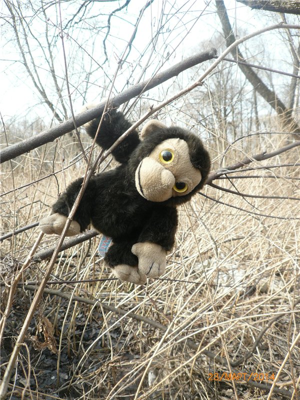 Предпраздничное настроение