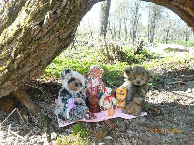 Про Мишку. Коллекционный Мишка Панда от Charlie Bears