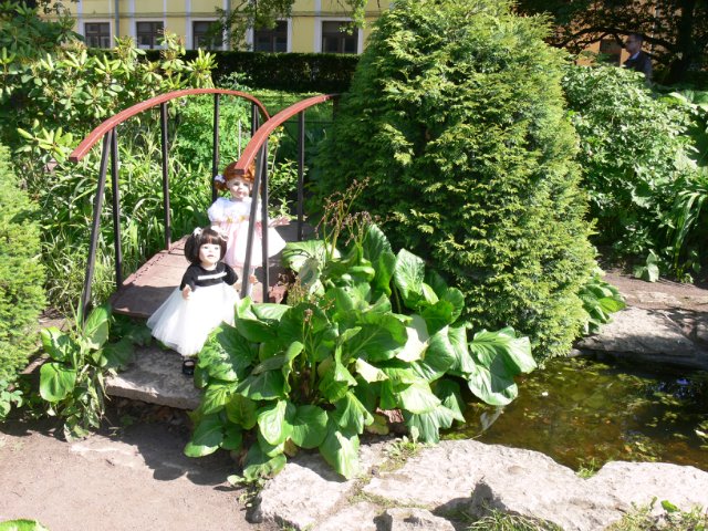 Продолжение прогулка в Ботаническом саду Санкт Петербурга. Часть 2. Иридарий | Бэйбики Продолжение прогулка в Ботаническом саду Санкт Петербурга. Часть 2. Иридарий