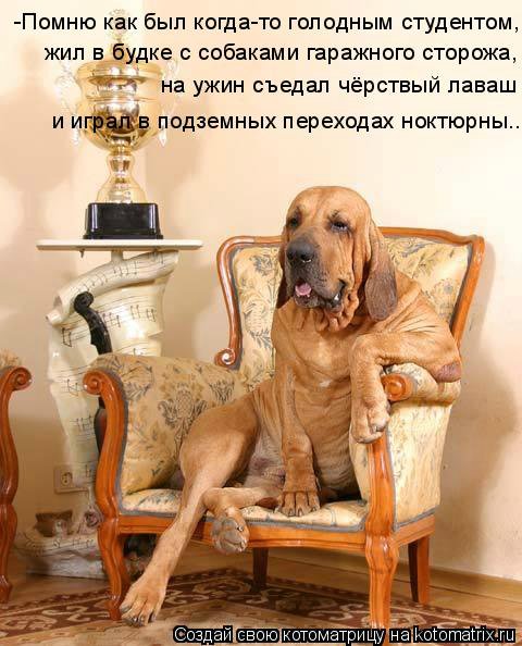 Понедельник - день тяжёлый | Бэйбики Понедельник - день тяжёлый