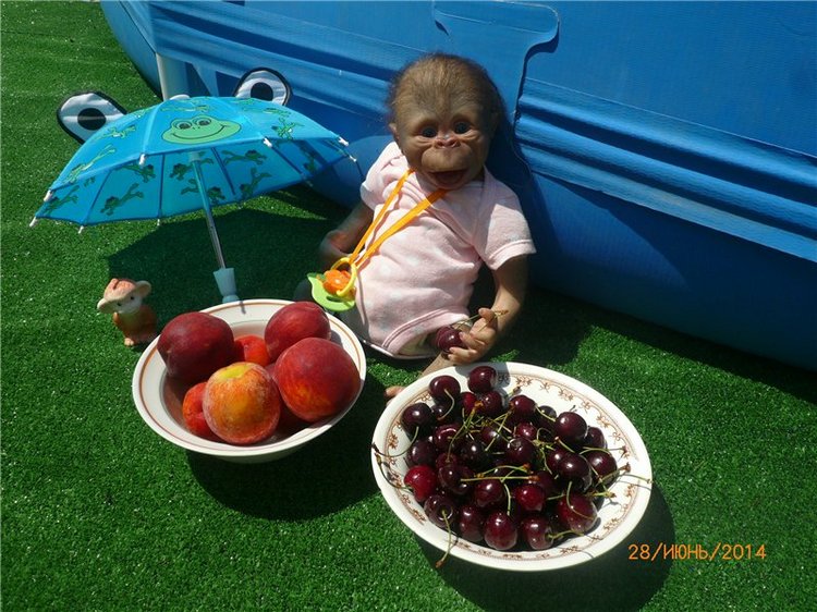 Анфисочка! Кукла - реборн - обезьянка Светланы Преображенской. Часть первая