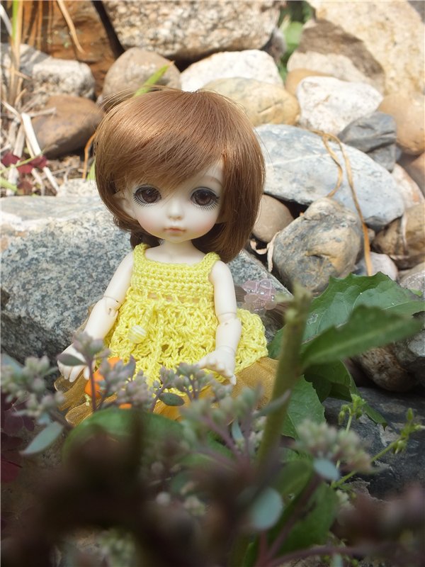 Моя сладкая и очень любимая Зойка.(PukiFee Zoe)