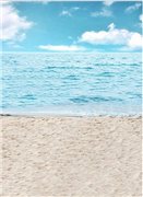 Закрыто. Совместная закупка фонов для фотографирования кукол