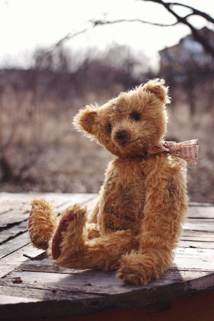 Старый забытый друг | Бэйбики Старый забытый друг — Авторские мишки Тедди и друзья: фото (фото 2)