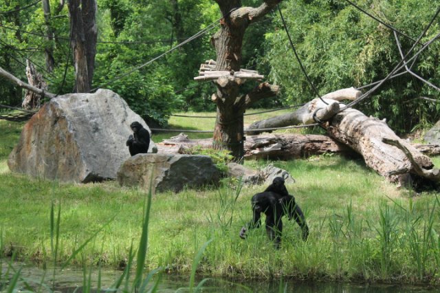 Сказка о Мишеле, BJD часть 2