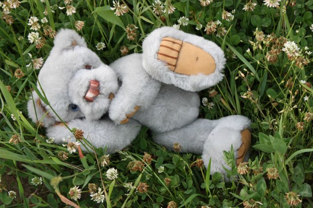 Киана, Шанталь Gotz и их новый друг Мирли