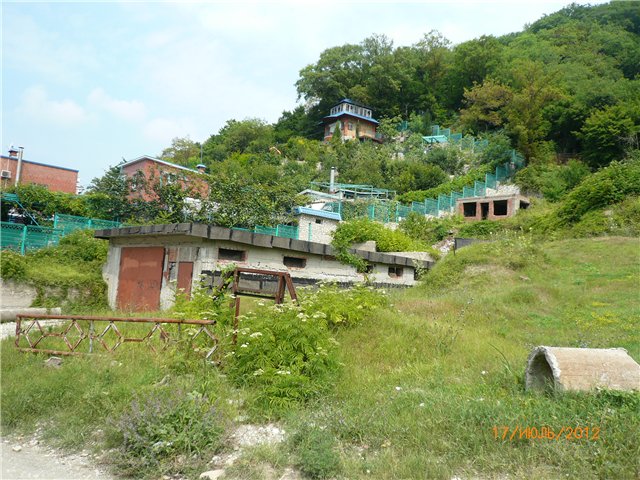 Сосенка Пин. Отпуск — Разные куклы BJD (БЖД): редкие бренды