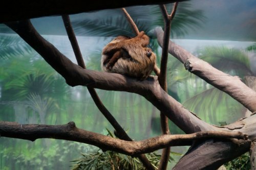 Воронежский океанариум — Туризм и путешествия: фотоотчеты из поездок