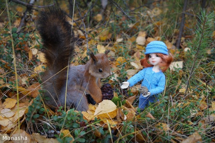 Прогулка по осеннему лесу. Nutmeg Elf от Kaye Wiggs (фото 10)