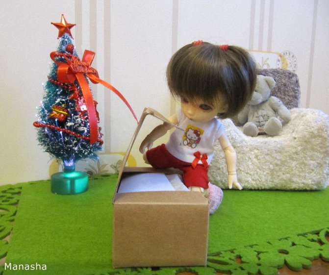 Посылка для Майки или есть ли Дед Мороз...pukiFee Ante Fairyland (фото 10)