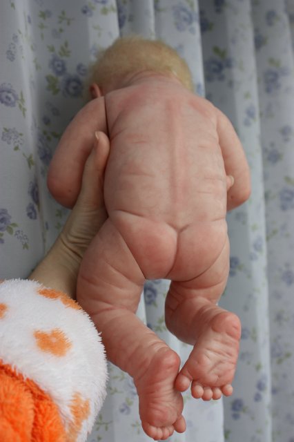 Реборн из Беренджер, нежность в пелёнках (фото 6)