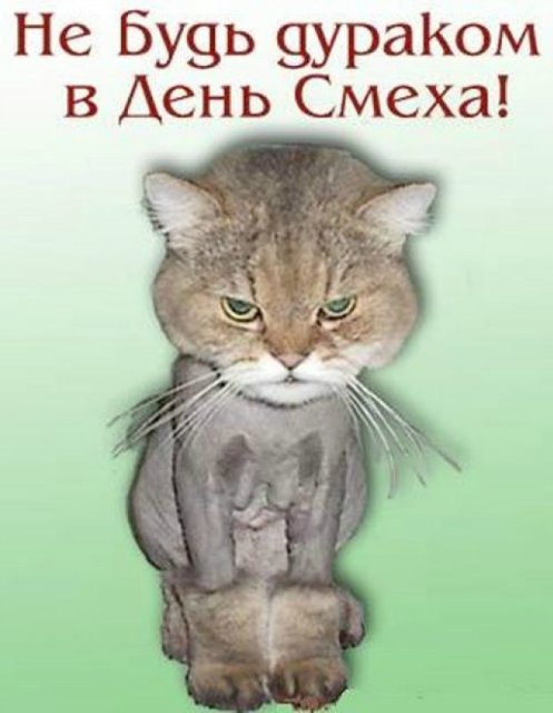 День дурака или день смеха! Вы готовы шутить и смеяться