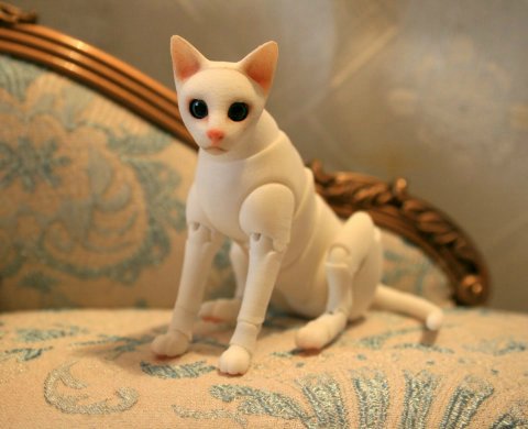 БЖД питомец - кот Као-Мани