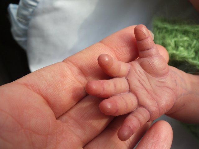 Малыш Максим, Berenguer — Куклы Berenguer (Беренджер): пупсы La Newborn