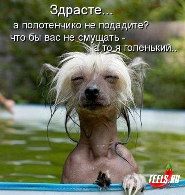 Понедельник - день тяжёлый | Бэйбики Понедельник - день тяжёлый