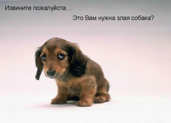 Море позитива) Для поднятия настроения (осторожно! много фото)))) | Бэйбики Море позитива) Для поднятия настроения (осторожно! много фото))))