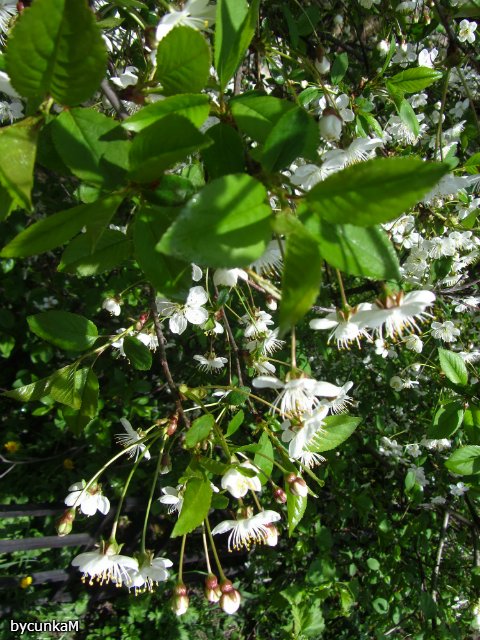 После дождичка в четверг — Болталка и разговоры обо всем: жизнь