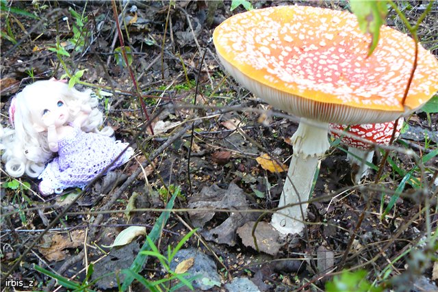 Осенняя сказка. Часть 1. (PukiFee Ante Ариэтти, PukiFee Bonnie Ариэль) | Бэйбики Осенняя сказка. Часть 1. (PukiFee Ante Ариэтти, PukiFee Bonnie Ариэль)